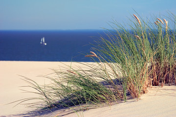 Fototapeta na wymiar A sailboat in the sea and dunes
