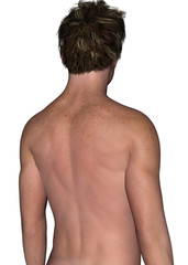 Naklejka premium Shoulders - 3D