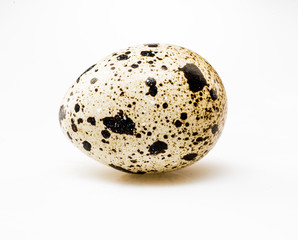 Quail egg, isolated on white background