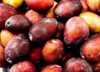 Fresh plums as a background