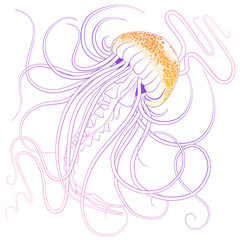 Obraz na płótnie Canvas Pink purple outline jellyfish in tattoo style with orange stipples vector