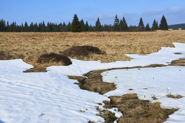  Bozi Dar peat bog trail at the turn of winter and spring, Ore mountains (Czech Republic)