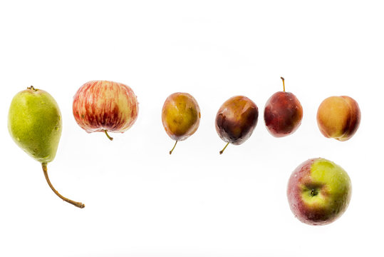 Set of fresh suumer fruits in a raw, isolated on white