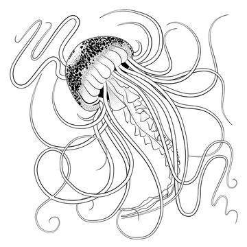 Black And White Outline Jellyfish In Tattoo Style With Stipples