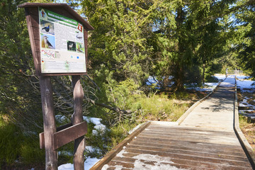  Bozi Dar peat bog trail at the turn of winter and spring, Ore mountains (Czech Republic)
