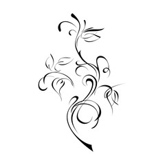 ornament 96. stylized flower in black lines on a white background