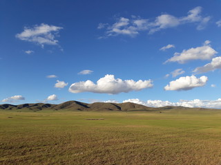 Steppe