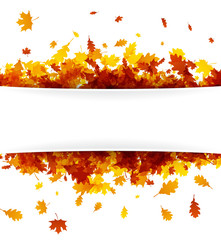 Autumn banner with golden leaves.