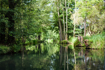 Spreewald