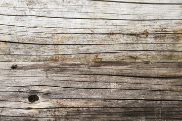Fototapeta premium hardwood background or texture