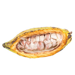 Cacao fruit, raw cacao beans, Cocoa pod isolated on white background