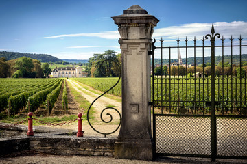 Castle with vineyards, Burgundy, Montrachet.France