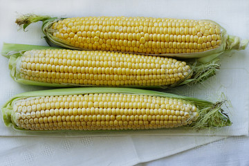 Sweet corns