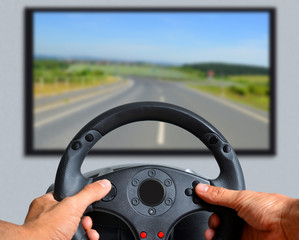 Hands holding gaming steering wheel.  The gamer is playing a car race.