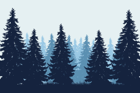 Vector realistic illustration of coniferous forest with grass under winter blue sky © Forgem