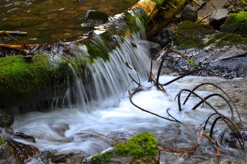górski strumień - tatry © karolina