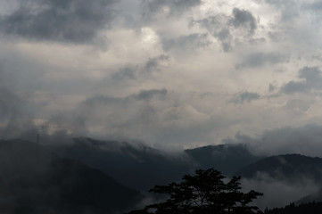 Obraz premium 霧たつ山