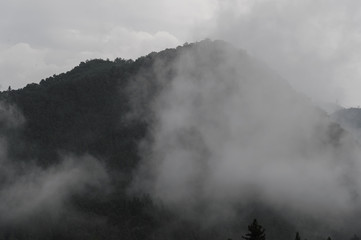 霧たつ山