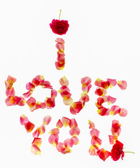 Flower Alphabet: rose petals set in word I love you, isolated on white
