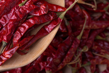 Dried red hot chili pepper.