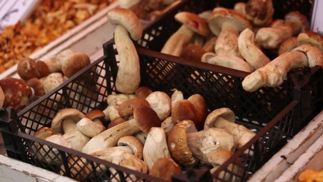Sale of mushrooms on the farm market