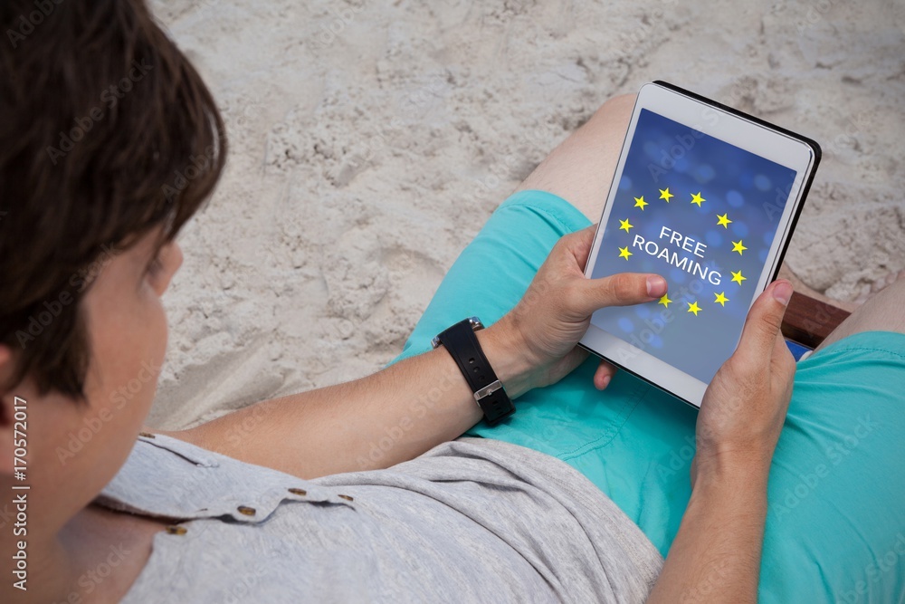Poster composite image of free roaming text on european union flag