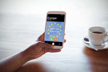 Composite image of good bye roaming text and european union flag