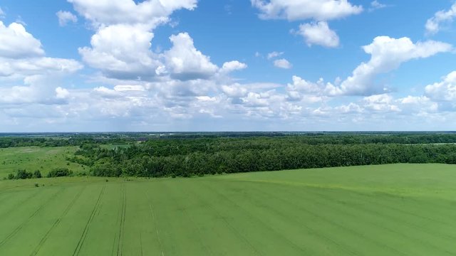 Nature of central part of Russia in summer - field and forest
