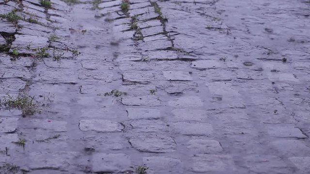 Paved road from granite blocks in the heavy rain. Drops of water falling into puddles on the pavement. 