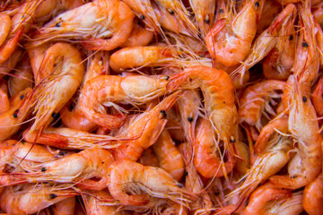 Close-up of boiled shrimps for background