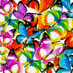 beautiful color butterflies,set,  on a white