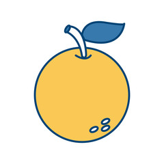 Delicious orange fruit icon vector illustration graphic design