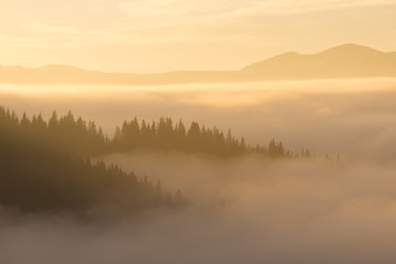 Fototapeta premium Morning autumn fog in the mountains