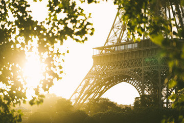Morning Eiffel Tower in Paris