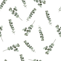 Eucalyptus seamless pattern. Hand drawn vector illustration.