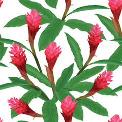 Tropical seamless pattern with red curcuma tulips flowers and leaves on white background. Vector set of exotic tropical garden for wedding invitations and greeting card design.