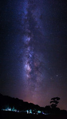 Fototapeta na wymiar Silhouette of pine tree and Milky way galaxy at Phu Hin Rong Kla National Park,Phitsanulok Thailand