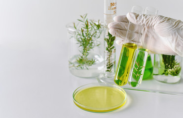 Natural medicine development in laboratory, Scientist researches