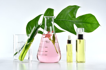 Natural skin care beauty products, Natural organic botany extraction and scientific glassware,...