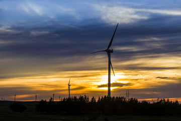 Obraz premium Wind turbines in the evening