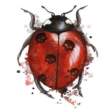 Watercolor drawing of an insect ladybird in a heluin theme with black skulls on the back with splashes on a white background, horror story, predominantly red and black, print, decor