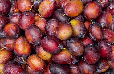 fresh plums in drops of dew as a background