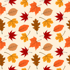 Obraz premium Autumn leaves seamless pattern vector illustration