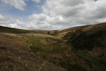 Views of nature, Peak District, UK