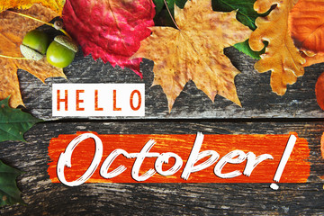 Hello October card, Fall composition from leaf. vintage forest filter 