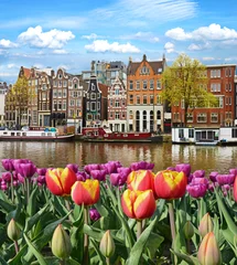 Photo sur Aluminium Amsterdam Paysage magique fabuleux et incroyablement beau avec une rivière et des tulipes à Amsterdam, Hollande, Europe.