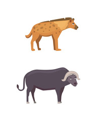 buffalo and hyena safari isolated illustration.