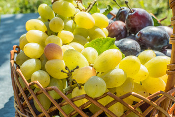 grapes and plums in the basket