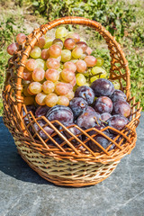 grapes and plums in the basket