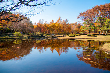 紅葉リフレクション